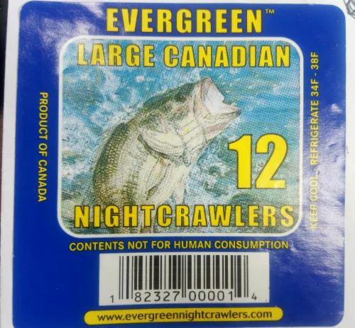 Nightcrawlers