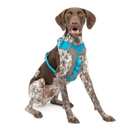 Kurgo Journey Air Harness